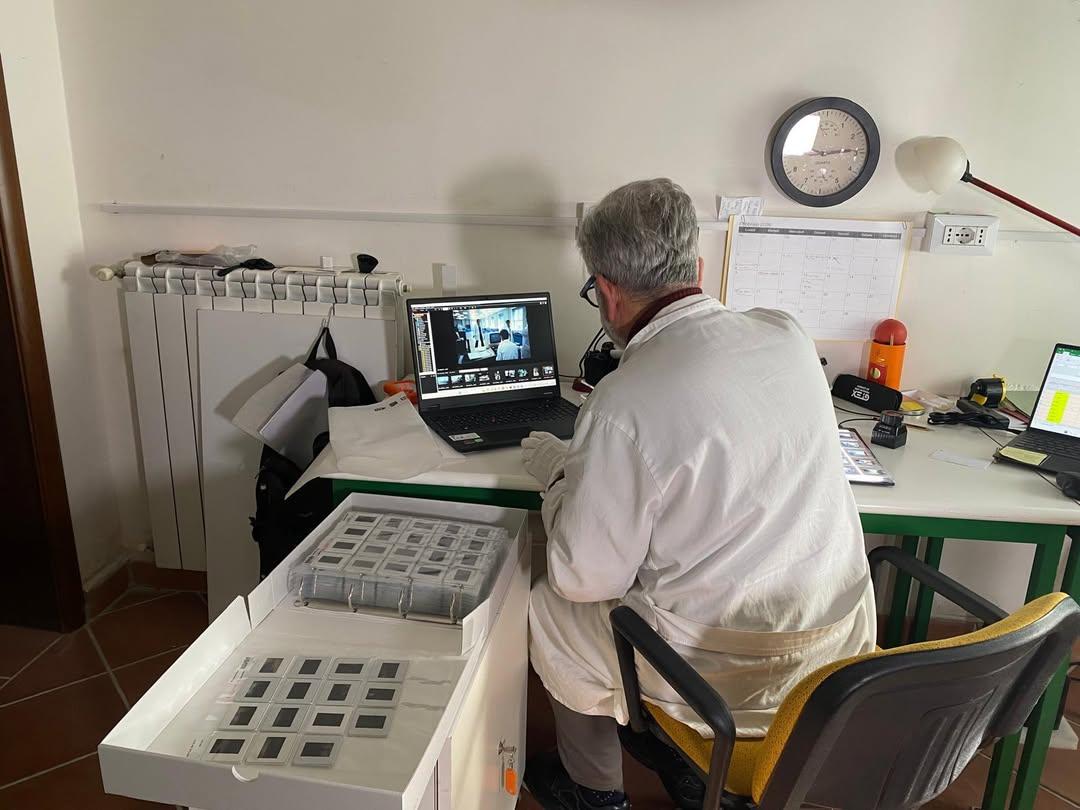 Digitalizzazione e Catalogazione